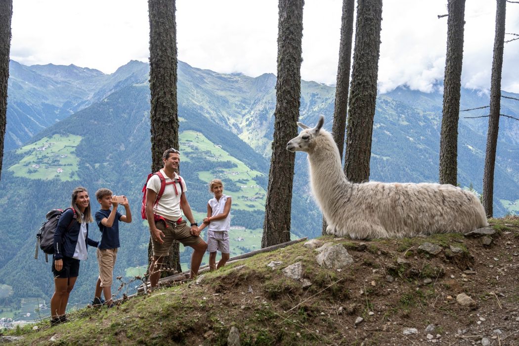 Vacanza in famiglia a Scena - Pensione Garni a 3 stelle Appartamenti Zunnelerhof - Scena sopra Merano, Zunneler Scena